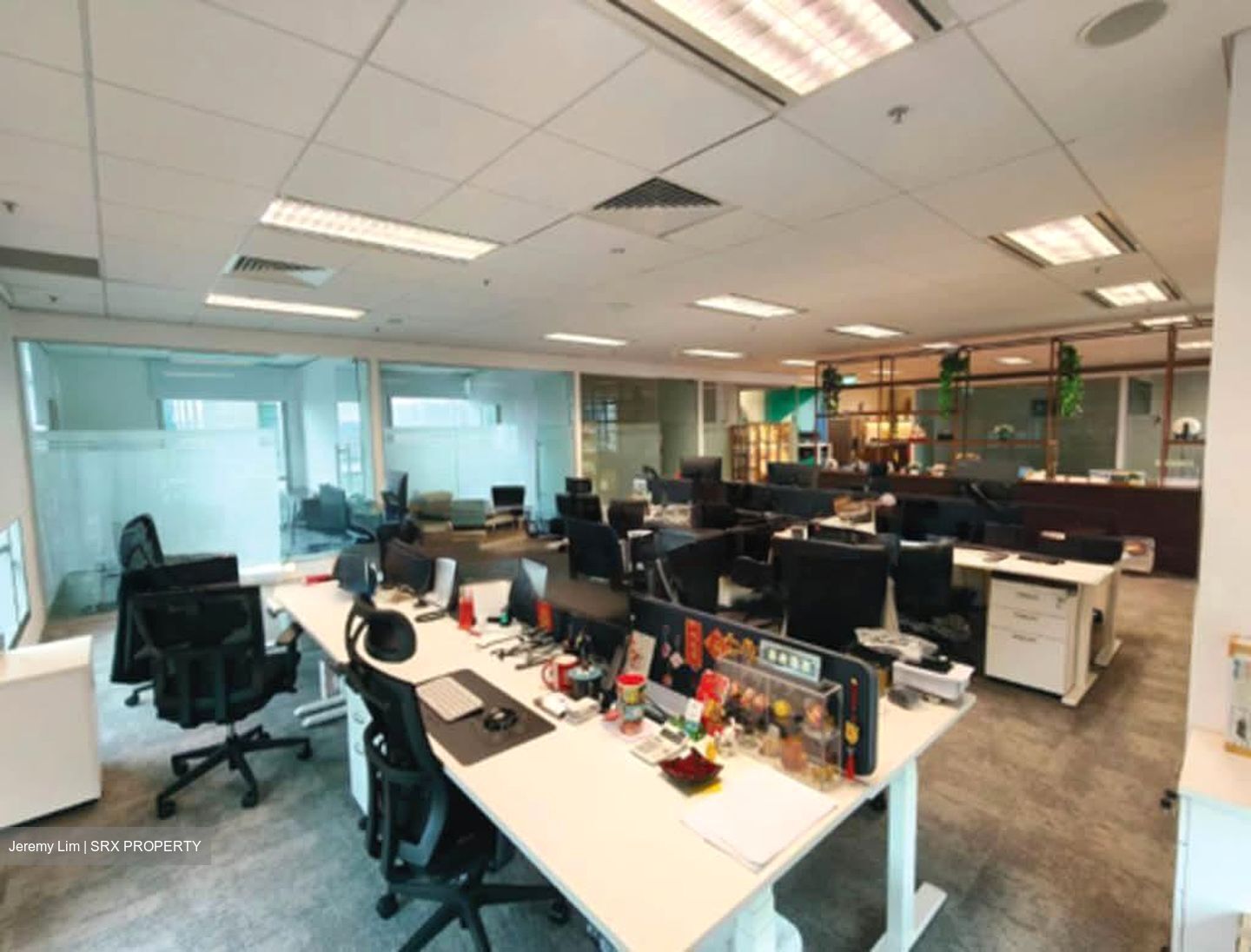Bugis Junction (D7), Office #554261471